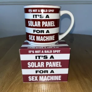 It's Not A Bald Spot Its A Solar Panel Joke Mug